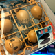 Image for article titled Putting Together Bandai’s Pokémon Models Is Fast, Fun, And Mildly Horrific